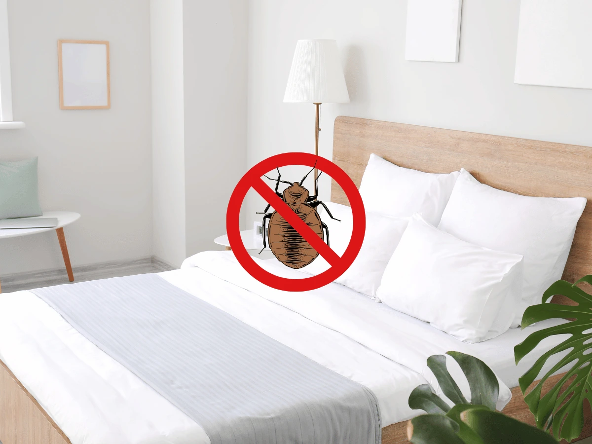 hotel-bed-bug-control