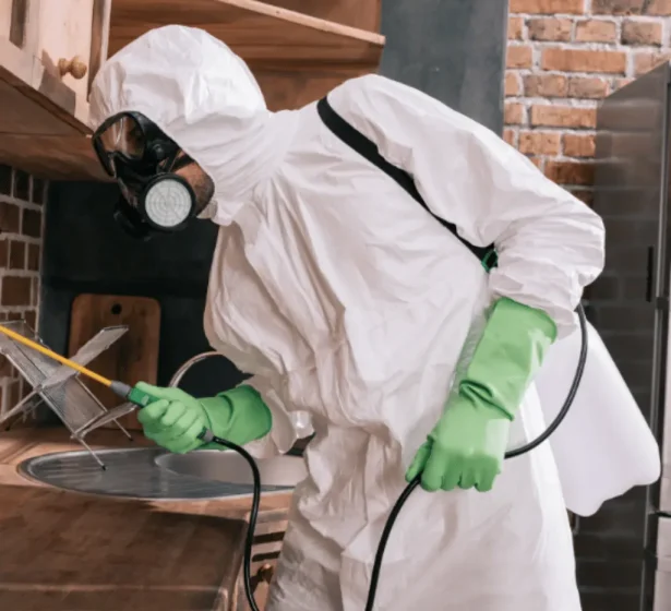 bed-bug-heat-treatment-pros-technician-removing-bed-bugs